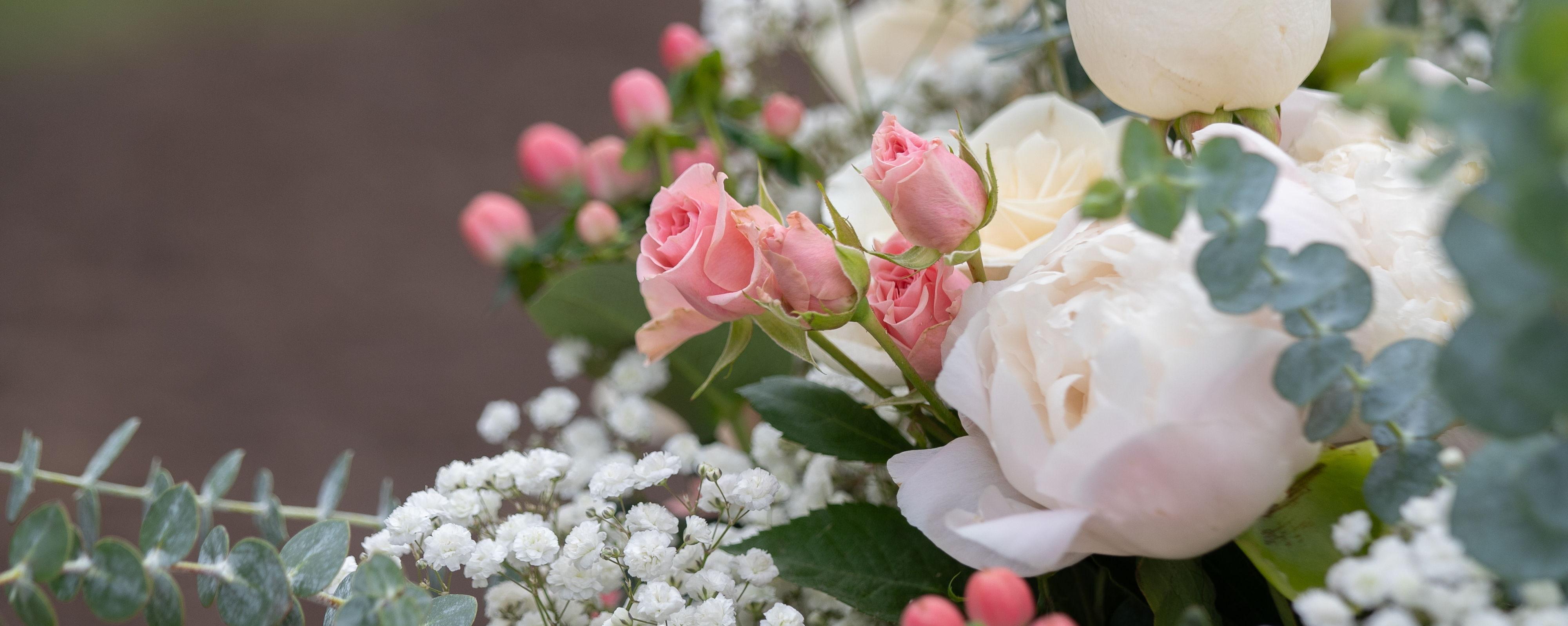 The Wedding Website of Nicole Gelow and Cooper Hjerpe