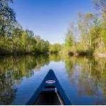 Kayak the Betsie River