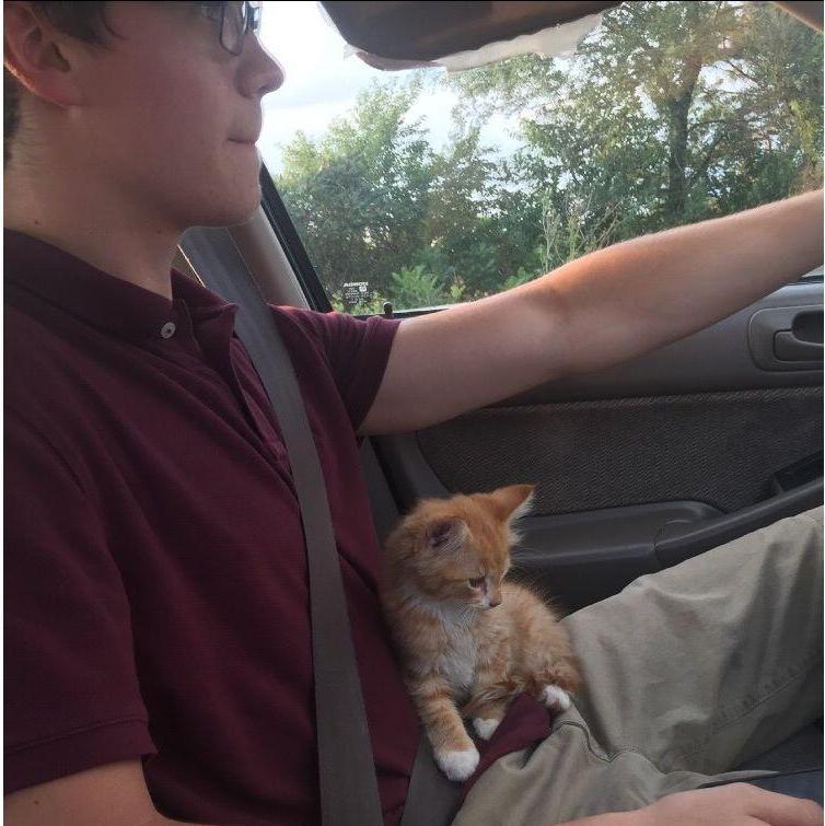 Bringing home our new best friend, Maestro. Yes, we did fight over who he liked better the entire ride home.