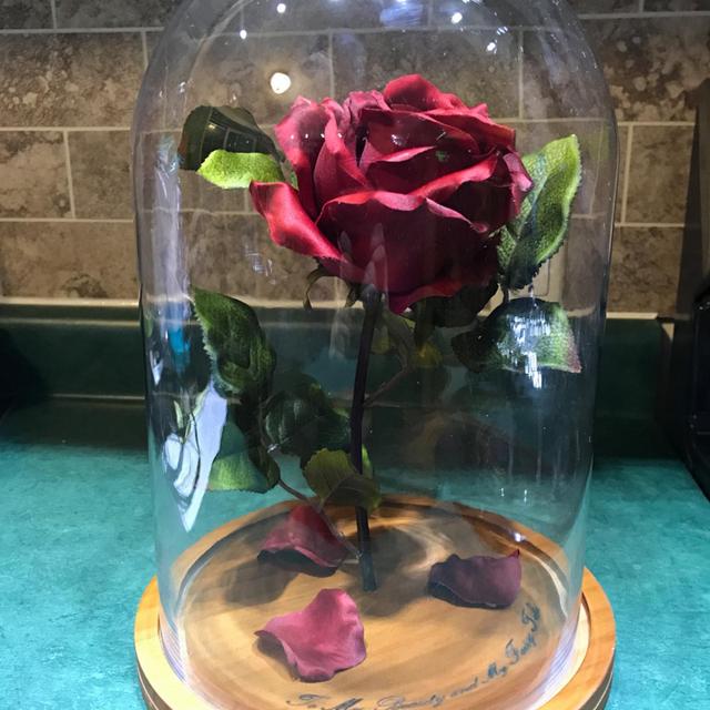 Engraved Beauty and the Beast Rose (Large)