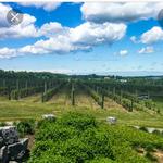 Finger Lakes Wine Country