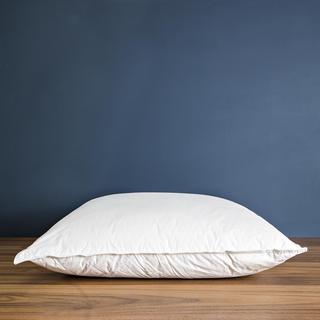 Soft Goose Down Pillow