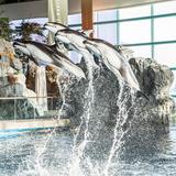 Shedd Aquarium