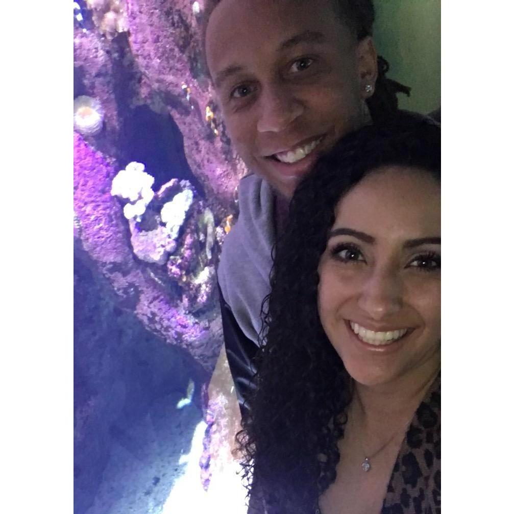 New Years Eve at the Aquarium of the Pacific