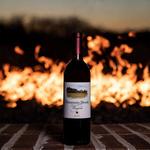Tryon Winery Tours