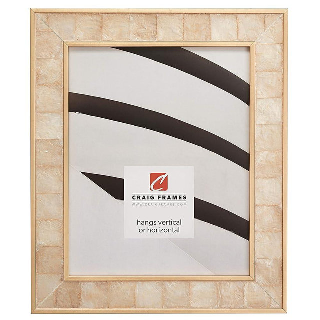 Craig Frames Opulence Picture Frame, 10 x 13 Inch, Gold Mother of Pearl