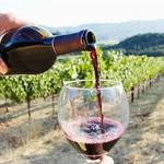 More Wine Tasting Options Because It's France