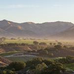 Demetria Estate & Vineyards