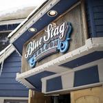 Blue Stag Saloon