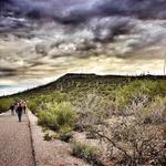Tumamoc Hill Hiking Trail