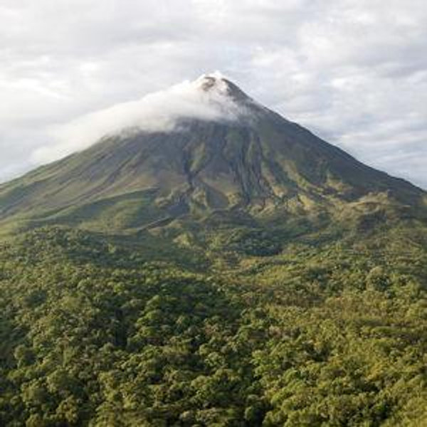 Honeymoon fund