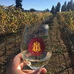 Marchesi Vineyards & Winery