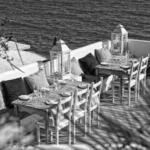 VIVERO Restaurant