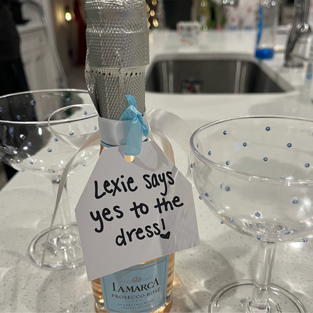 Wedding Dress Preservation