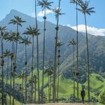 Tourism in the Coffee Triangle