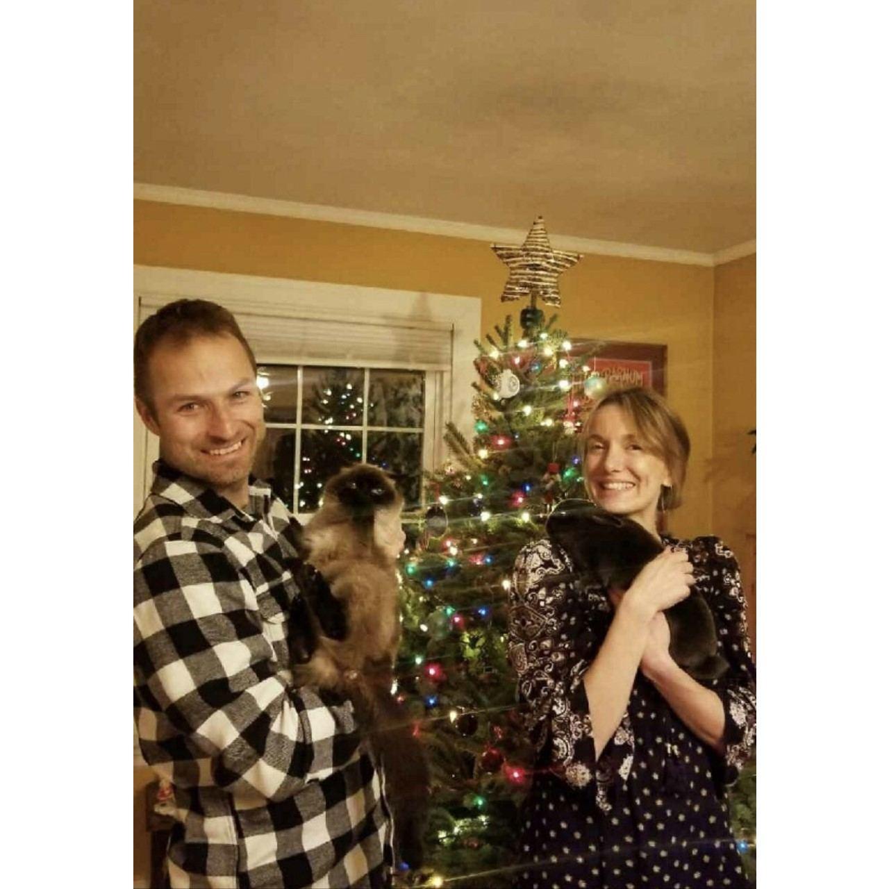 Christmas Eve with the fur babies, Princess and Hopper