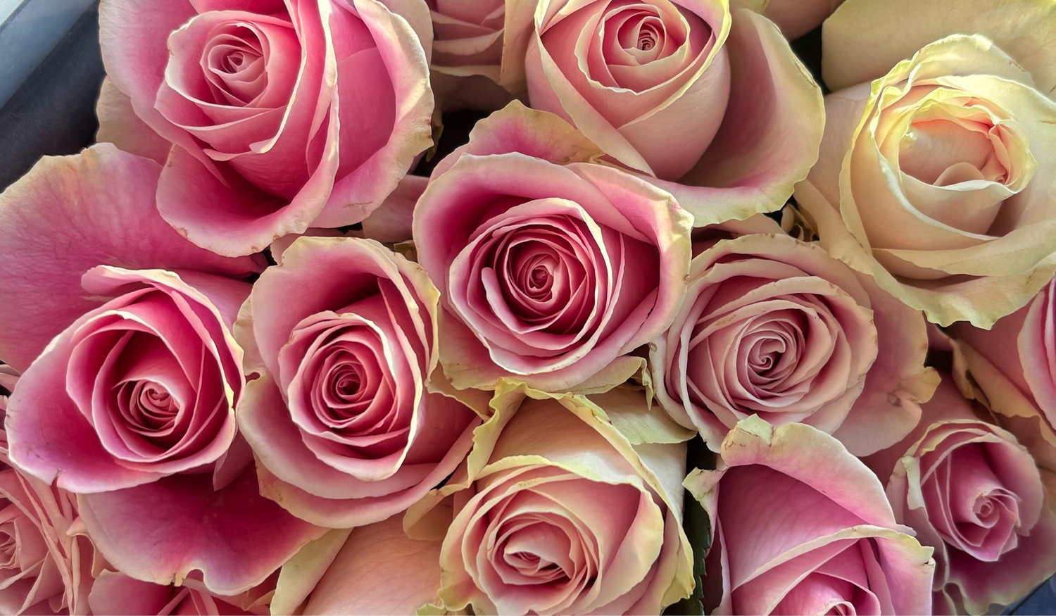 The Wedding Website of Brooke Lederer and Spencer Clifton