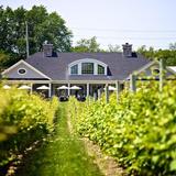 East End Wineries