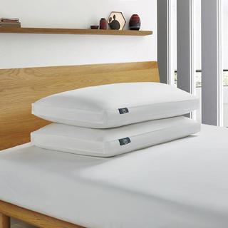 Goose Feather and Down Fiber Back Sleeper Bed Pillow, Set of 2