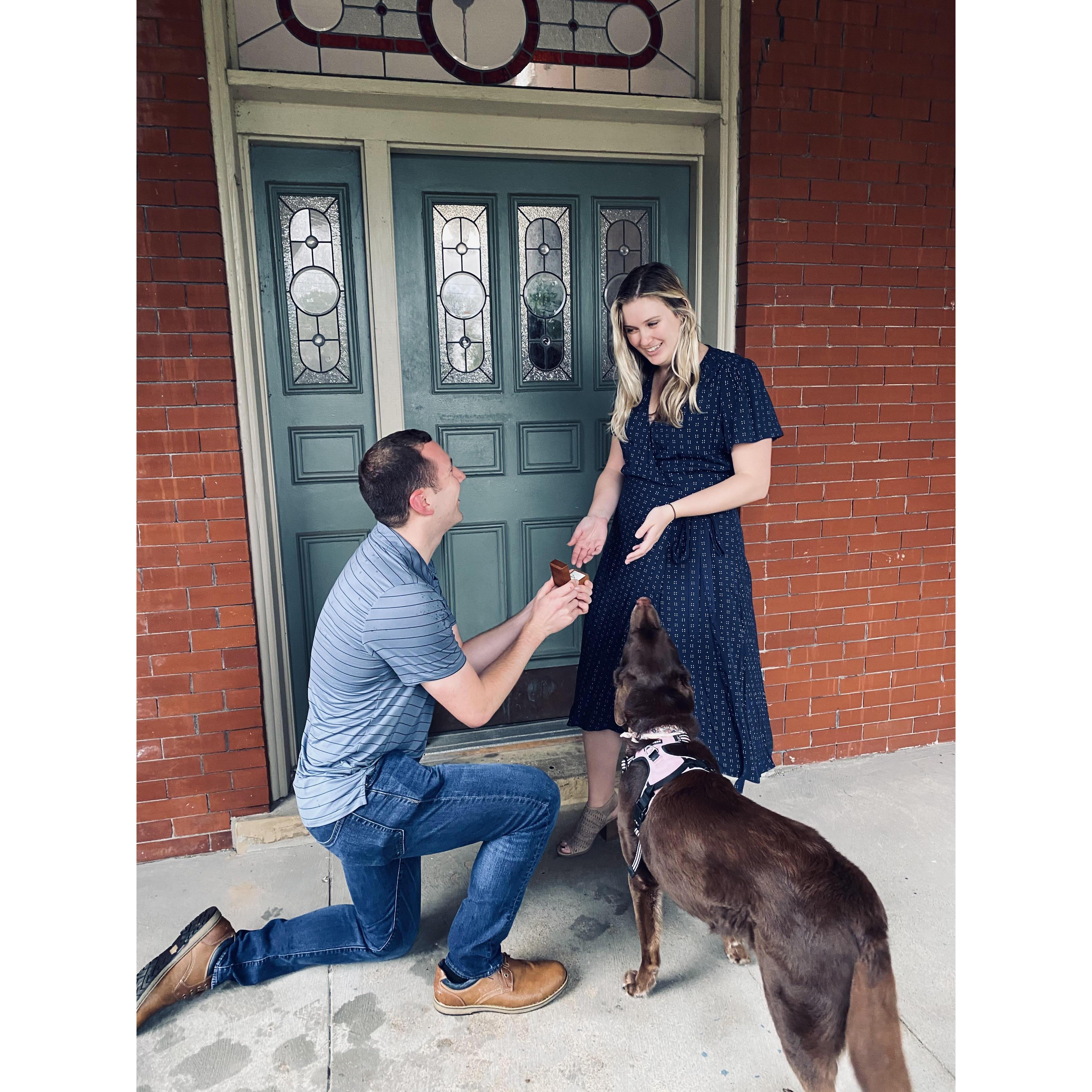 Totally surprised! Engagement outside our old apartment with Daisy present of course!