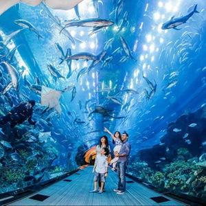 S.E.A. Aquarium