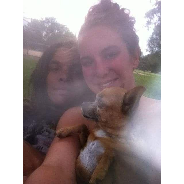 Our fur baby in heaven