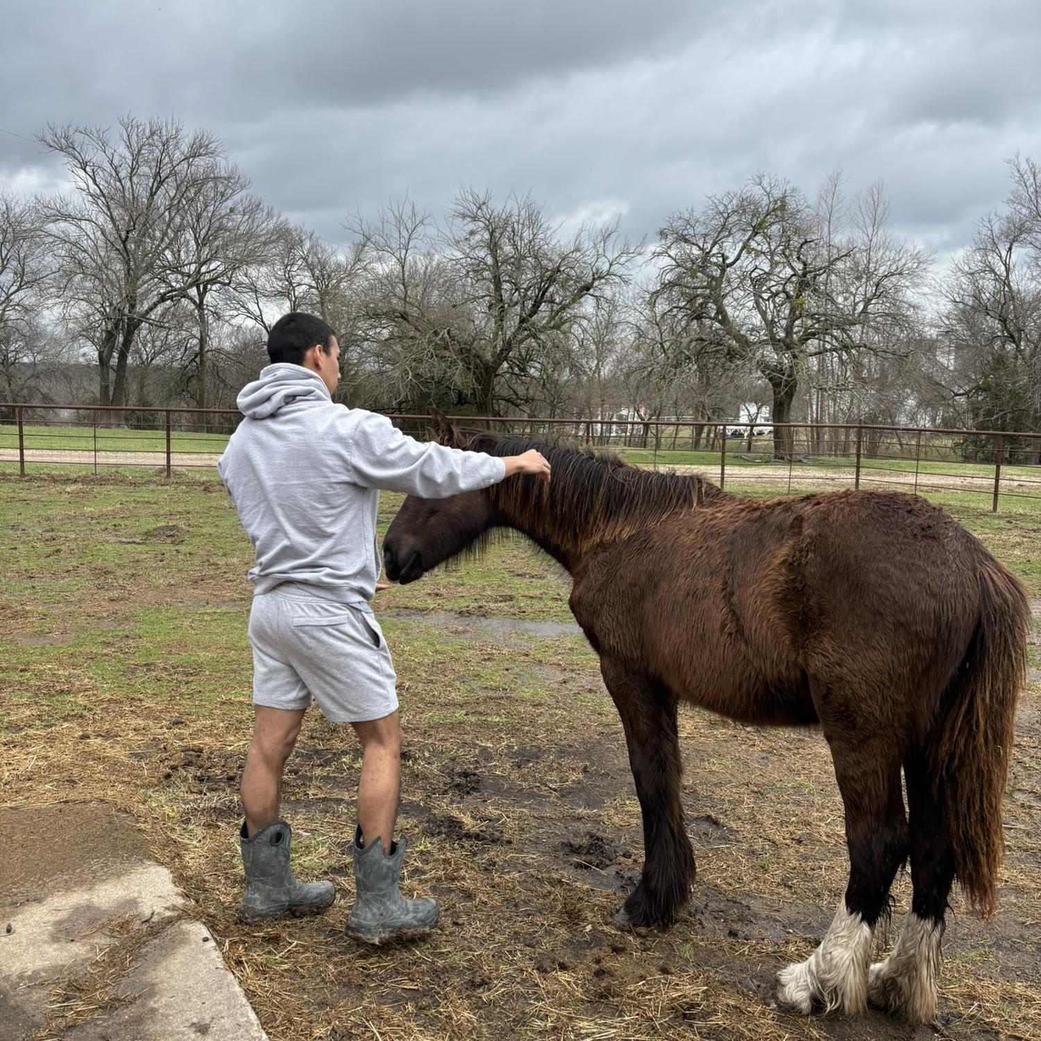 On my uncle’s ranch
