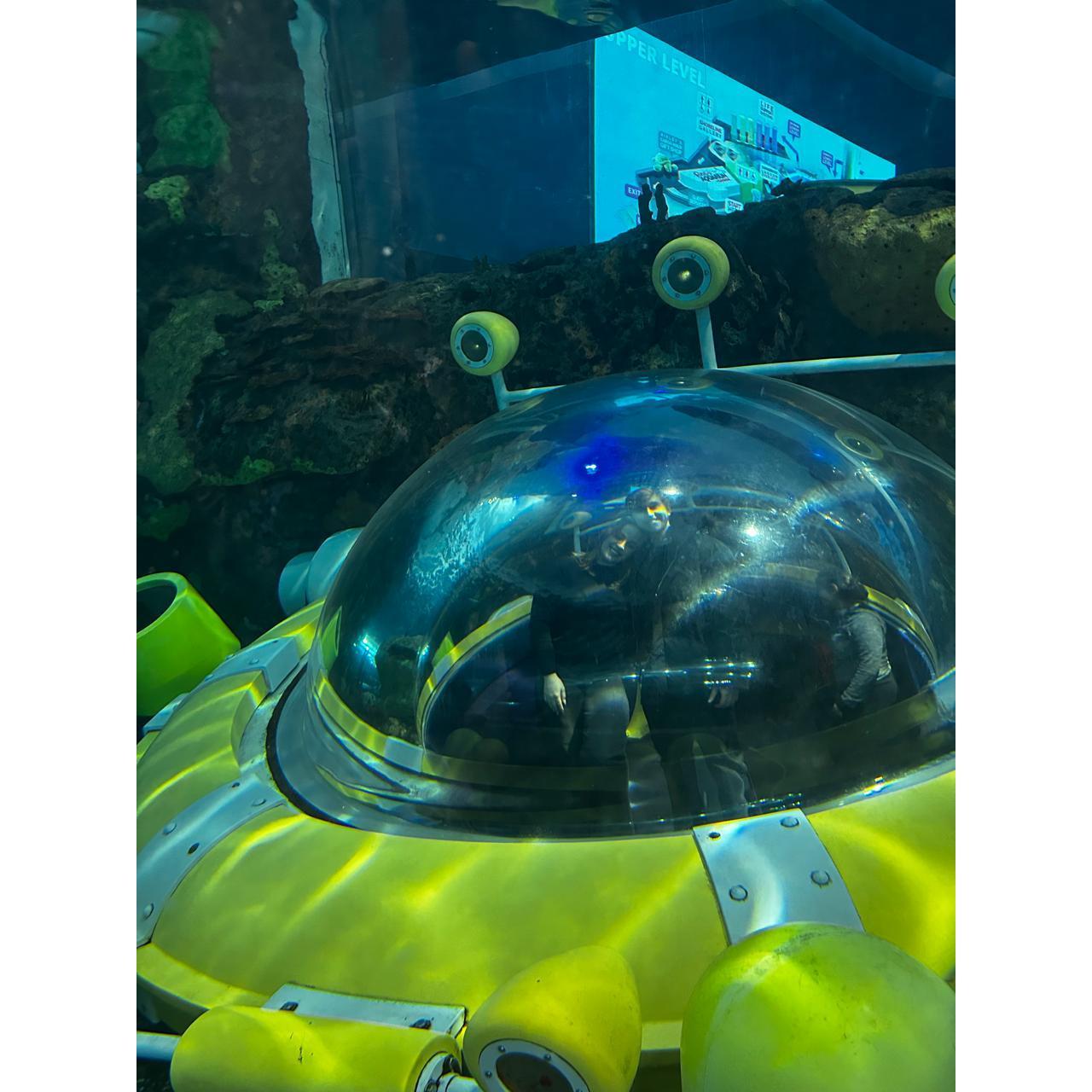 Nós no aquário de Toronto