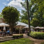 Keswick Vineyards