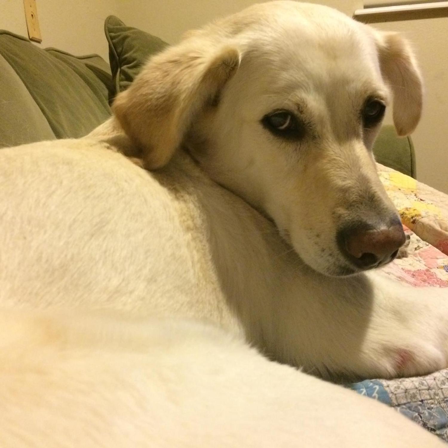 Lucy