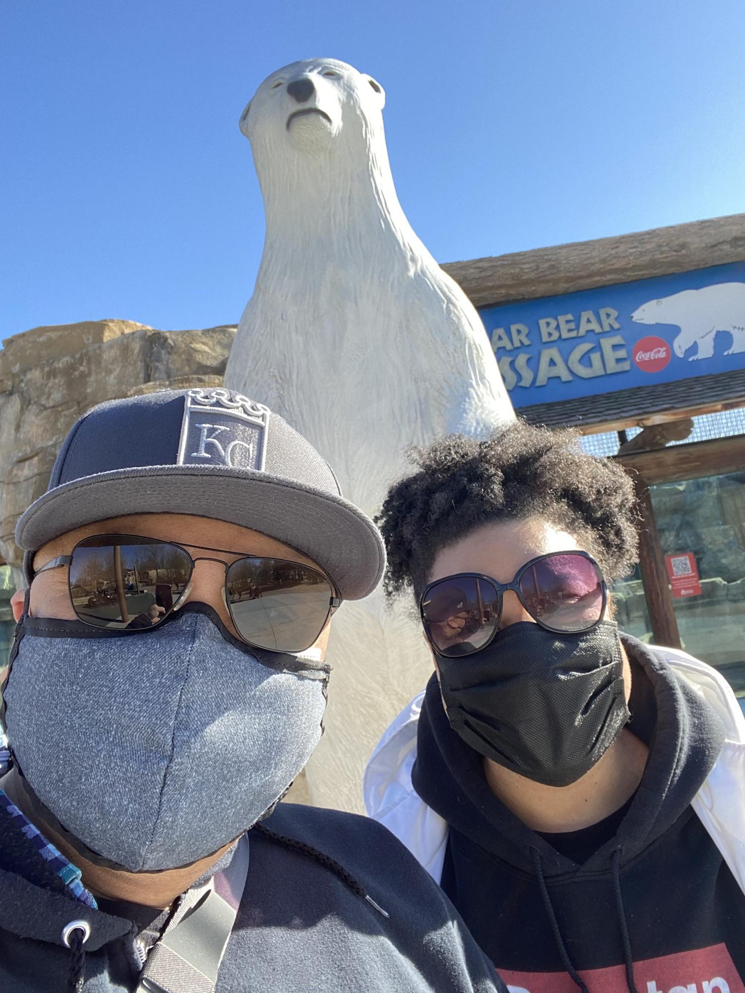 Polar bears at the KC Zoo! Happy birthday Tony!