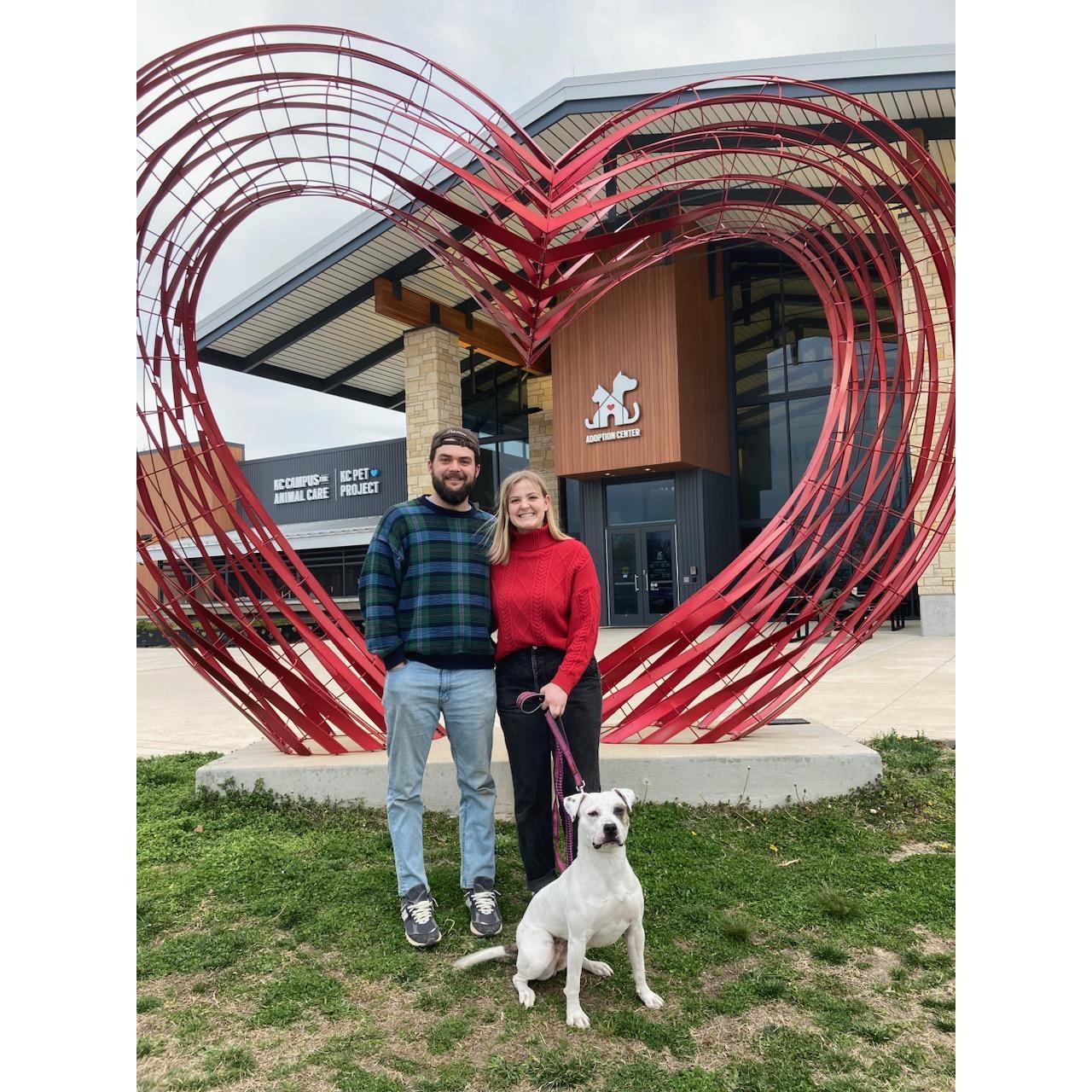 We sealed the deal and adopted our foster dog, Powder!