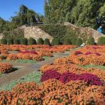 The North Carolina Arboretum