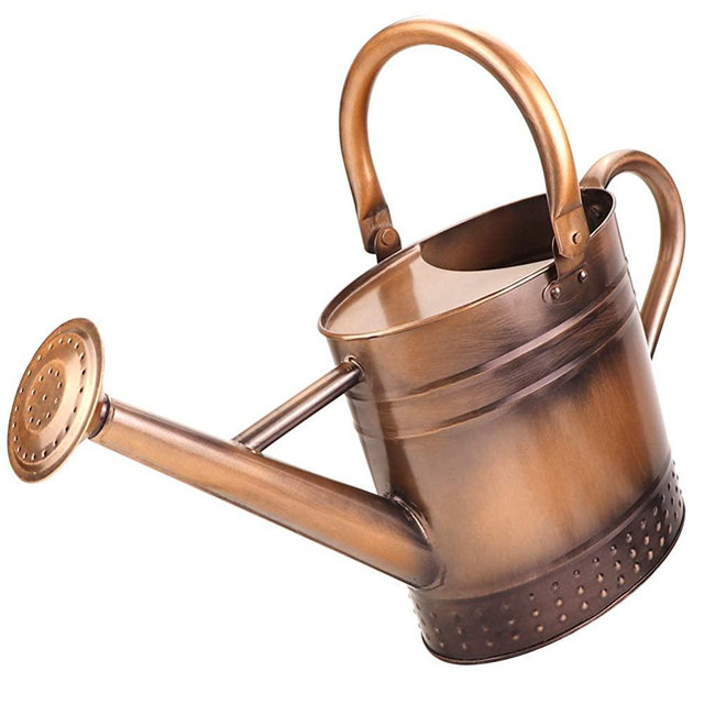 Megawodar 1 Gallon Galvanized Steel Watering Can with Embossed Design (Bronze)