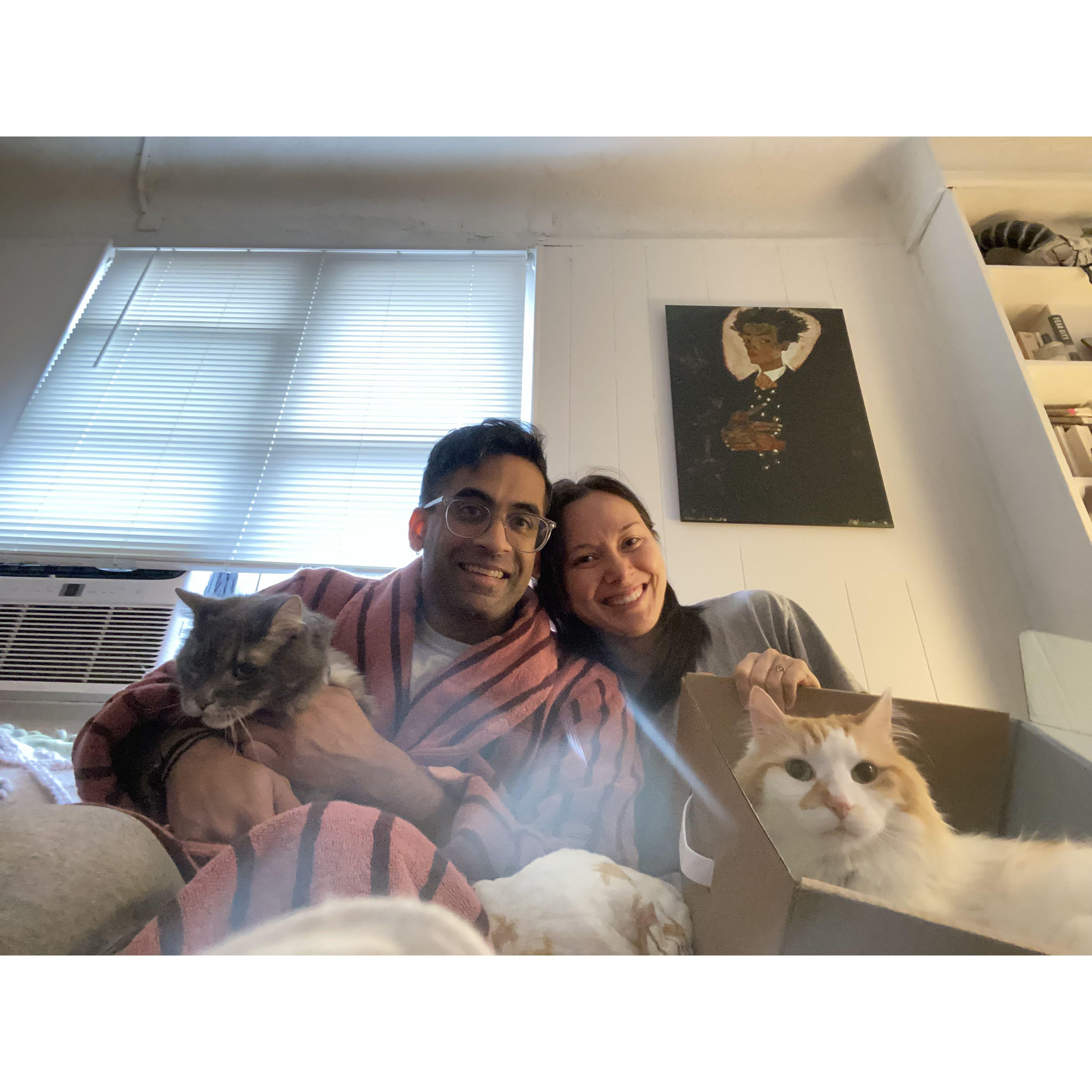 Christmas 2023 with our furry family <3