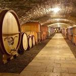 Oenotourism in Beaujolais