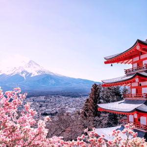 Japan Adventure Fund | Venmo Link