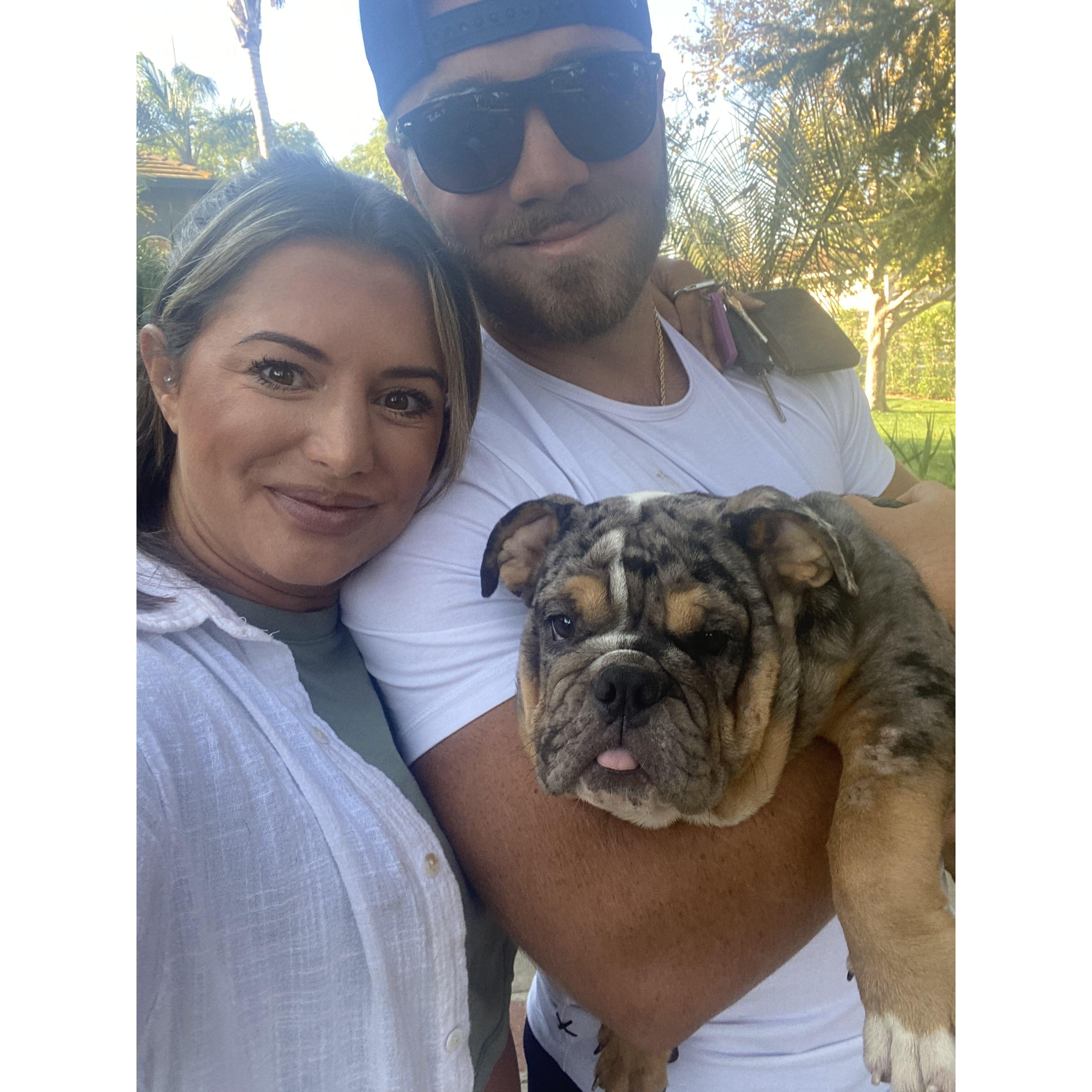 Picking up our puppy Tuna!