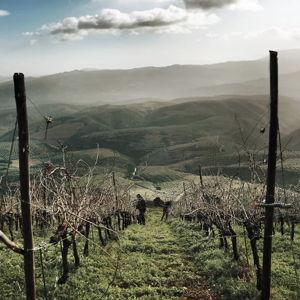 Wine Tasting at Manousakis Winery in Crete