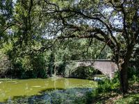 Audubon Park & The Fly