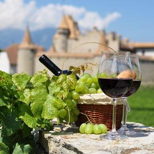 Wine Tasting in France
