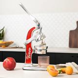 Mexican Artisan Citrus Juicer