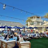 Coastal Orange Beach