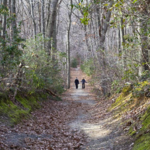 Hartshorne Woods Park