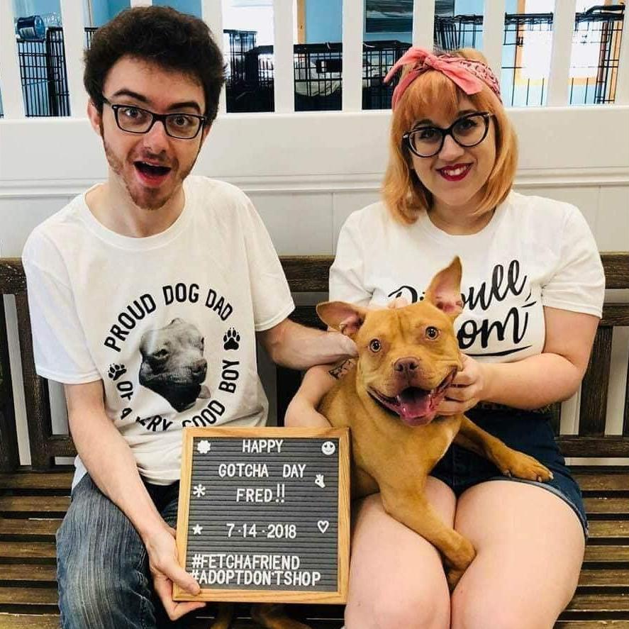 Baloney's Gotcha Day - 2018