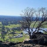 Upper Bidwell Park