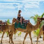 Ride Camels on the Beach!