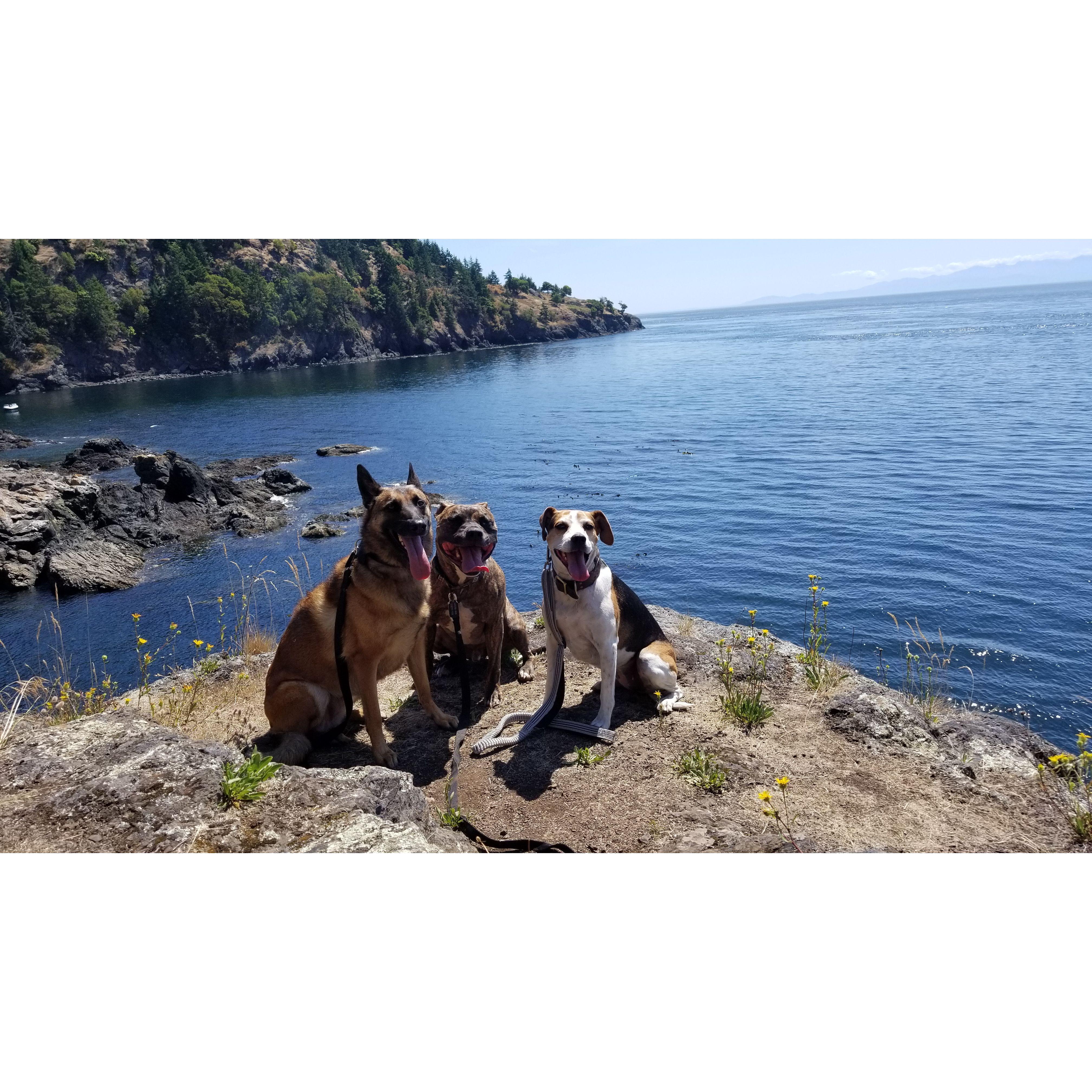 Our dogs love the trails around Lime Kiln National Park!