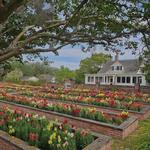 Pebble Hill Plantation