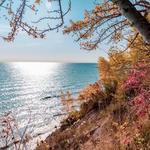 Lion's Den Gorge Nature Preserve